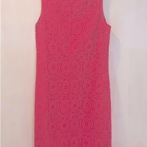 Pretty in Pink Lace Fitted Dress - Picture 2 of 3